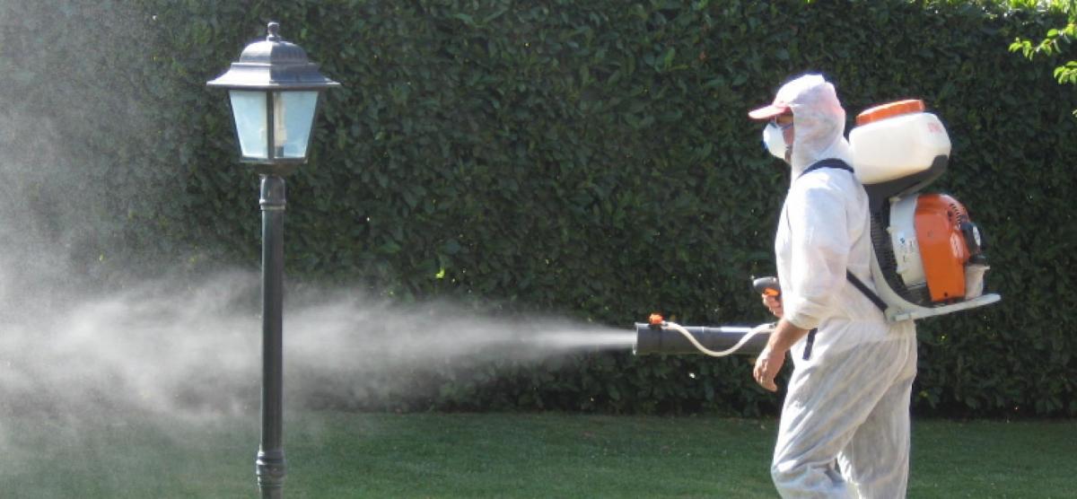 disinfestazione-Ecolan